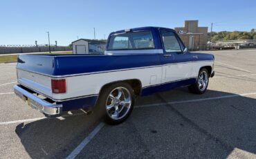 Chevrolet-C-10-1976-Standard-Cab-Pickup-3