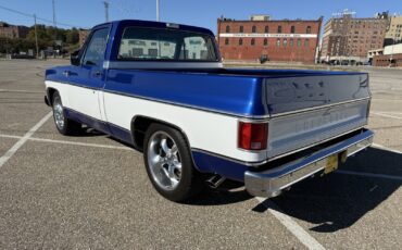 Chevrolet-C-10-1976-Standard-Cab-Pickup-5