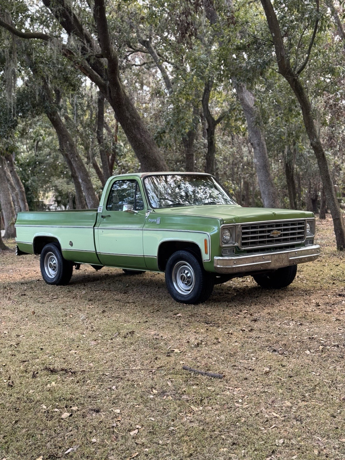 Chevrolet C-10 1976 Standard Cab Pickup