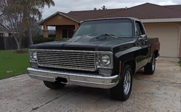 Chevrolet-C-10-1978-1