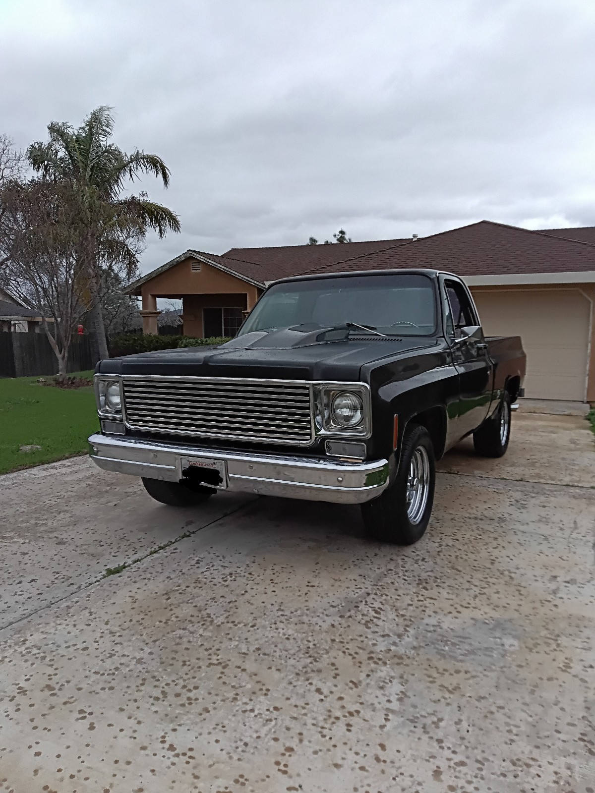 Chevrolet-C-10-1978-1