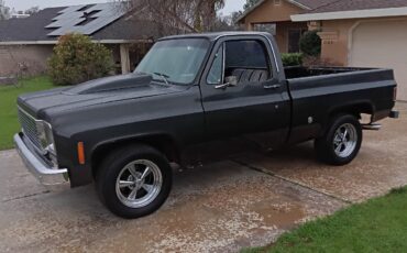 Chevrolet-C-10-1978-10