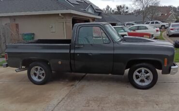 Chevrolet-C-10-1978-11