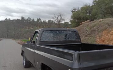 Chevrolet-C-10-1978-12