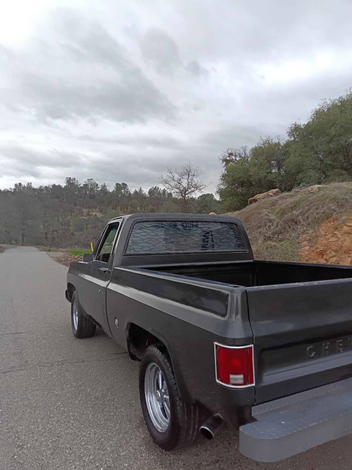 Chevrolet-C-10-1978-12