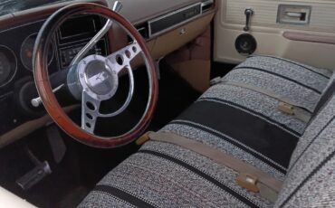 Chevrolet-C-10-1978-13