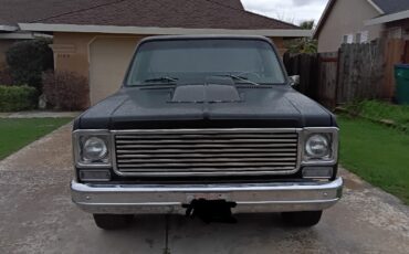 Chevrolet-C-10-1978-2