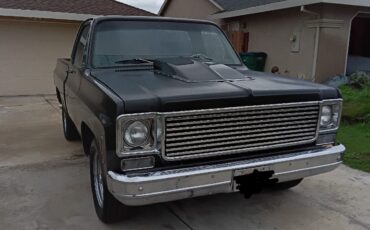 Chevrolet-C-10-1978-3