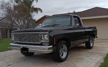 Chevrolet-C-10-1978