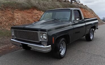 Chevrolet-C-10-1978-4