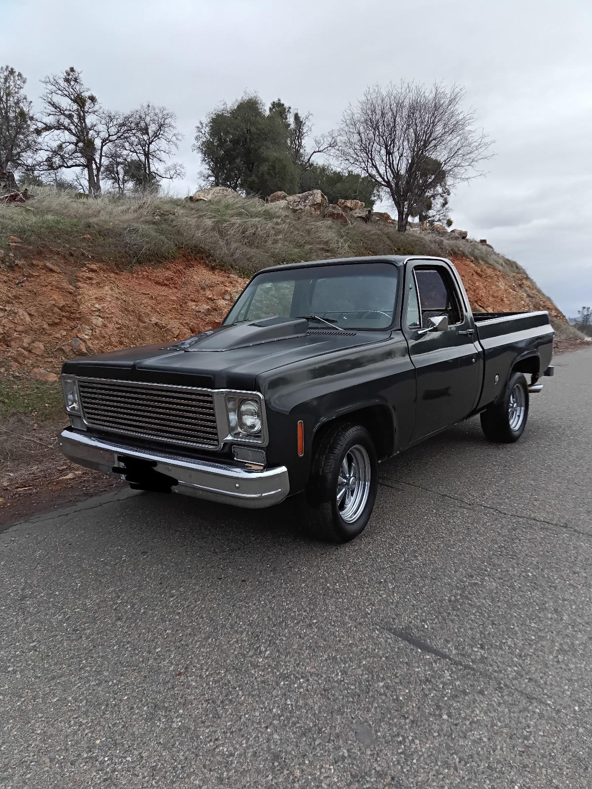 Chevrolet-C-10-1978-4
