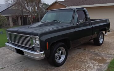 Chevrolet-C-10-1978-5