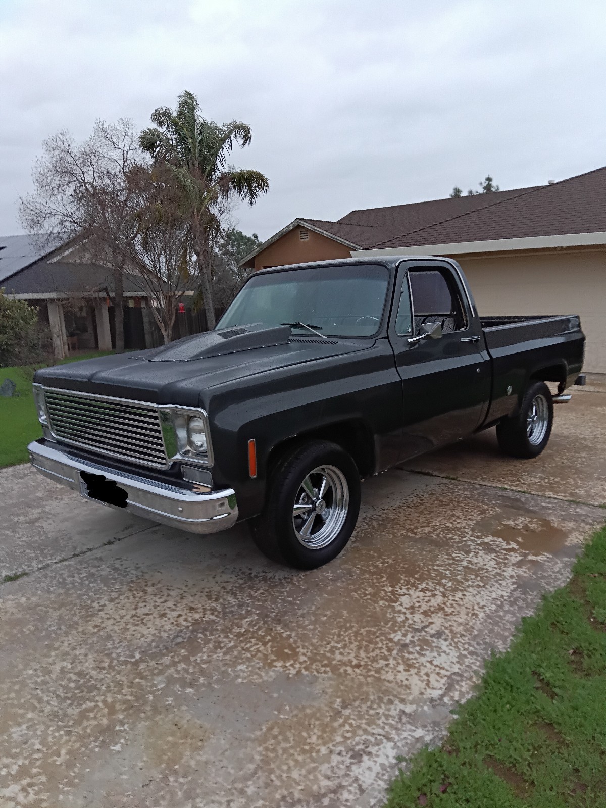 Chevrolet-C-10-1978-5