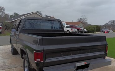 Chevrolet-C-10-1978-6