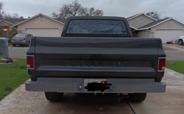 Chevrolet-C-10-1978-7