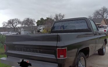 Chevrolet-C-10-1978-8