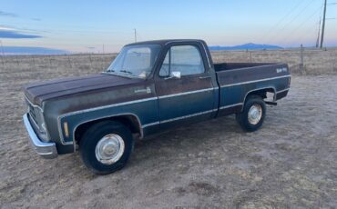 Chevrolet-C-10-1979-Standard-Cab-Pickup-1