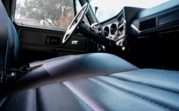 Chevrolet-C-10-1979-Standard-Cab-Pickup-19