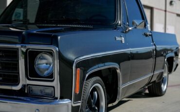 Chevrolet-C-10-1979-Standard-Cab-Pickup-2