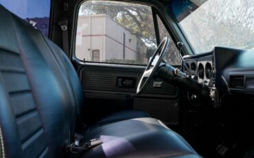Chevrolet-C-10-1979-Standard-Cab-Pickup-20