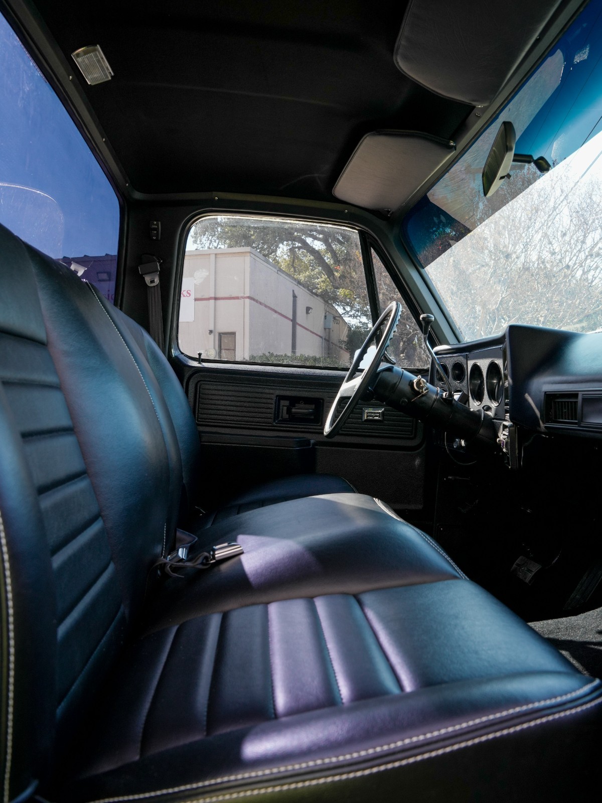 Chevrolet-C-10-1979-Standard-Cab-Pickup-20