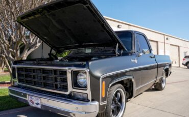 Chevrolet-C-10-1979-Standard-Cab-Pickup-21