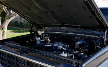 Chevrolet-C-10-1979-Standard-Cab-Pickup-22