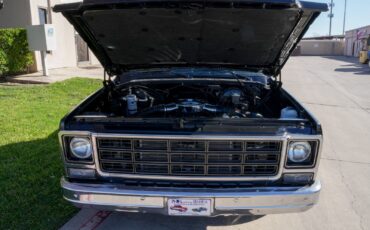 Chevrolet-C-10-1979-Standard-Cab-Pickup-23