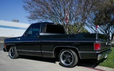 Chevrolet-C-10-1979-Standard-Cab-Pickup-3