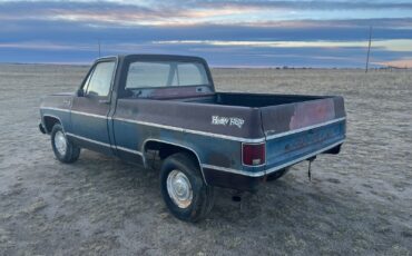 Chevrolet-C-10-1979-Standard-Cab-Pickup-3