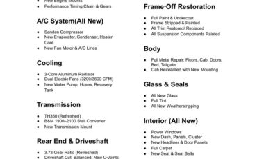 Chevrolet-C-10-1979-Standard-Cab-Pickup-31