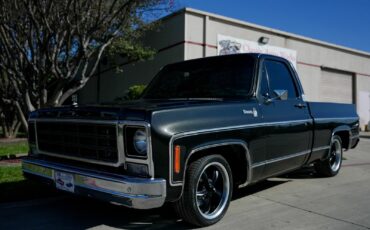 Chevrolet-C-10-1979-Standard-Cab-Pickup