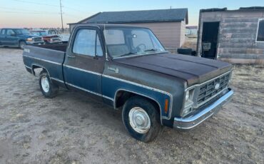 Chevrolet-C-10-1979-Standard-Cab-Pickup