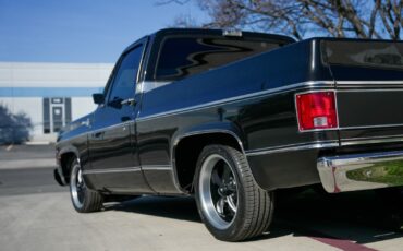 Chevrolet-C-10-1979-Standard-Cab-Pickup-4