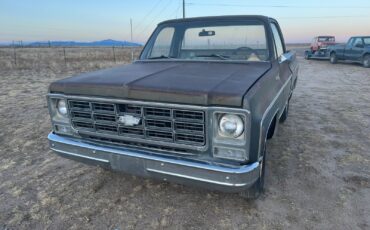 Chevrolet-C-10-1979-Standard-Cab-Pickup-4