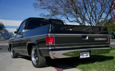Chevrolet-C-10-1979-Standard-Cab-Pickup-5