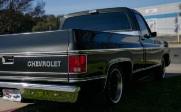 Chevrolet-C-10-1979-Standard-Cab-Pickup-7