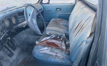 Chevrolet-C-10-1979-Standard-Cab-Pickup-7