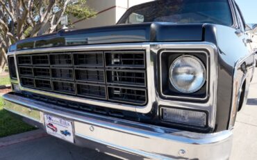 Chevrolet-C-10-1979-Standard-Cab-Pickup-8