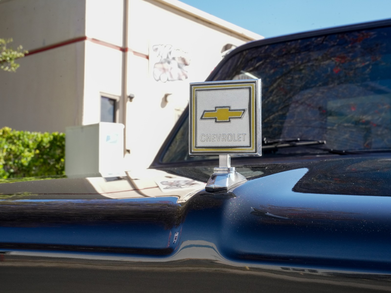 Chevrolet-C-10-1979-Standard-Cab-Pickup-9