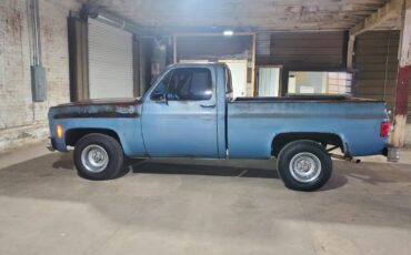 Chevrolet-C-10-1980-Standard-Cab-Pickup-1