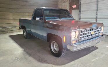 Chevrolet-C-10-1980-Standard-Cab-Pickup-10