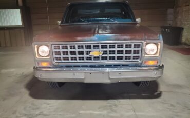 Chevrolet-C-10-1980-Standard-Cab-Pickup-11