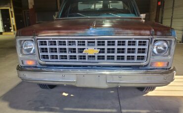 Chevrolet-C-10-1980-Standard-Cab-Pickup-12