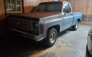 Chevrolet-C-10-1980-Standard-Cab-Pickup-13