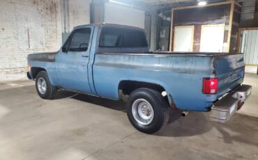 Chevrolet-C-10-1980-Standard-Cab-Pickup-2