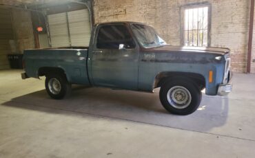 Chevrolet-C-10-1980-Standard-Cab-Pickup-20