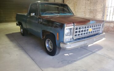 Chevrolet-C-10-1980-Standard-Cab-Pickup-21