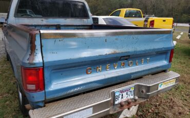 Chevrolet-C-10-1980-Standard-Cab-Pickup-22