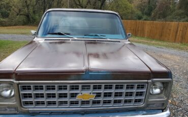Chevrolet-C-10-1980-Standard-Cab-Pickup-23